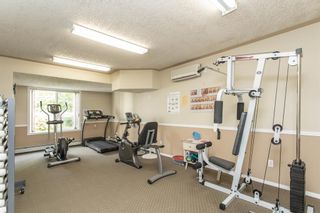 Photo 13: 234 56 Carroll Crescent: Red Deer Apartment for sale : MLS®# A2017693