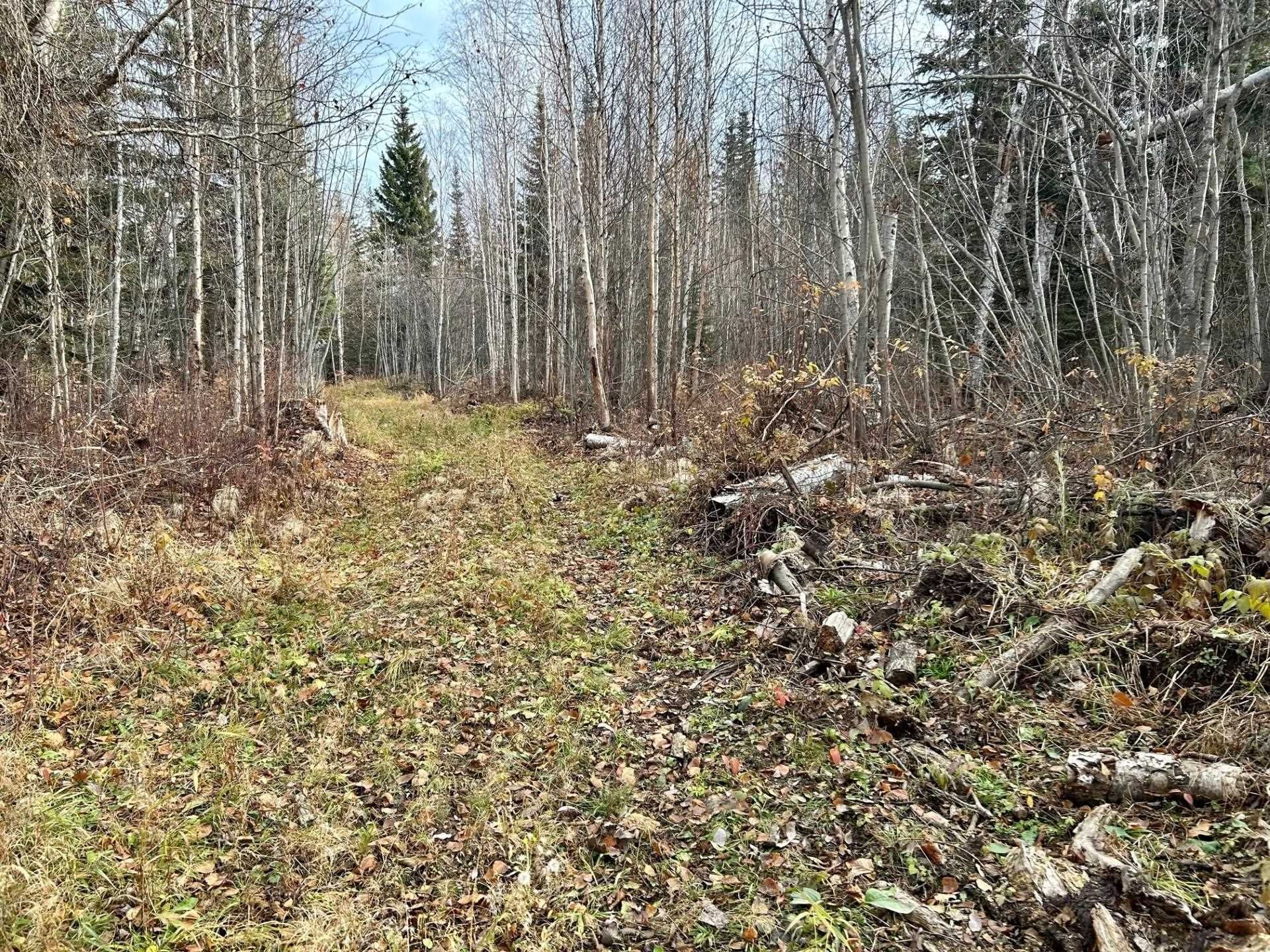 Main Photo: LOT 1 MCCONACHIE CREEK Road in Fort Nelson: Fort Nelson - Rural Land for sale : MLS®# R2826243