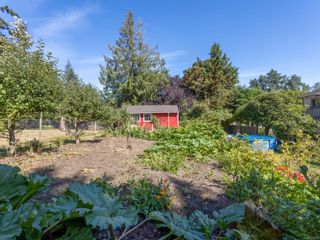 Photo 26: 10774 Derrick Rd in North Saanich: NS Deep Cove House for sale : MLS®# 920295