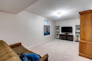 Photo 30: 117 Canoe Square SW: Airdrie Semi Detached for sale : MLS®# A1219402