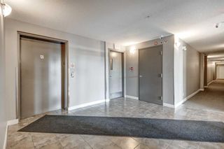 Photo 29: 308 15304 Bannister Road SE in Calgary: Midnapore Apartment for sale : MLS®# A2095832