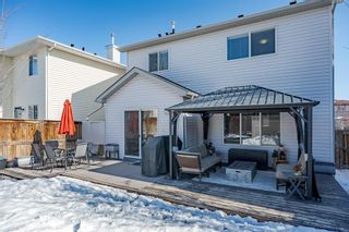 Photo 46: 364 Sagewood Place SW: Airdrie Detached for sale : MLS®# A2033871