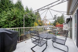 Photo 36: 23030 CLIFF AVENUE in Maple Ridge: East Central House for sale : MLS®# R2831337
