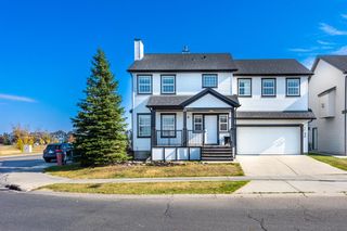Photo 1: 698 Martindale Boulevard NE in Calgary: Martindale Detached for sale : MLS®# A2012660