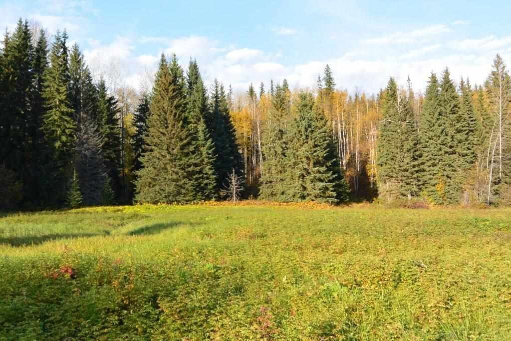Main Photo: 161 HELEN LAKE Road: Hazelton Land for sale in "KISPIOX VALLEY" (Smithers And Area (Zone 54))  : MLS®# R2355392