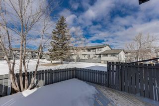 Photo 25: 44 12 Templewood Drive NE in Calgary: Temple Row/Townhouse for sale : MLS®# A1192583