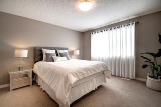 Photo 25: 91 Chaparral Valley Way SE in Calgary: Chaparral Detached for sale : MLS®# A1166098