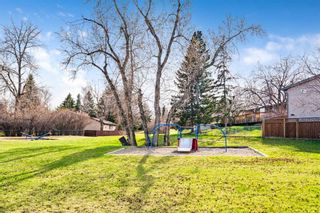 Photo 33: 459 Cantrell Drive SW in Calgary: Canyon Meadows Detached for sale : MLS®# A2128247
