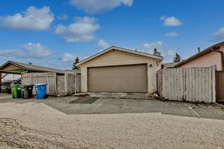 Photo 39: 1112 Falconridge Drive NE in Calgary: Falconridge Detached for sale : MLS®# A2040735