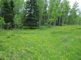 Photo 43: 351035A Range Road 61: Rural Clearwater County Detached for sale : MLS®# C4297657