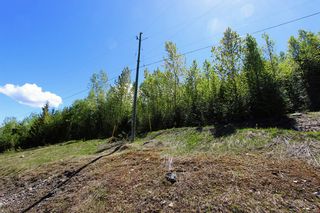 Photo 11: Lot 1 Rose Crescent: Eagle Bay Land Only for sale (South Shuswap)  : MLS®# 10204140
