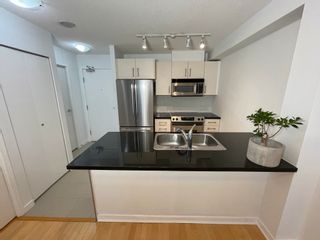 Photo 4: 509 1082 SEYMOUR Street in Vancouver: Downtown VW Condo for sale in "FREESIA" (Vancouver West)  : MLS®# R2649292