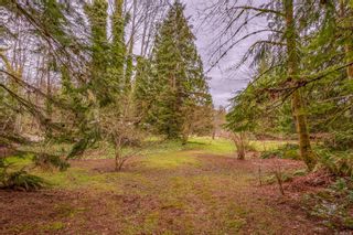 Photo 38: 4365 Munster Rd in Courtenay: CV Courtenay West House for sale (Comox Valley)  : MLS®# 872010