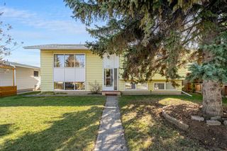 Photo 1: 503 Winterbourne Crescent SE in Calgary: Willow Park Detached for sale : MLS®# A2083821