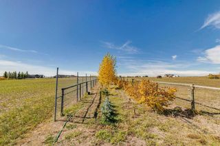 Photo 19: 365051 64 Street E: Rural Foothills County Detached for sale : MLS®# A2129090
