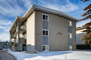Photo 1: 12 609 67 Avenue SW in Calgary: Kingsland Apartment for sale : MLS®# A2035138