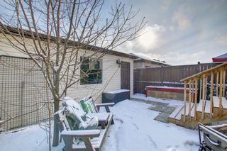 Photo 48: 24 Skyview Ranch Lane NE in Calgary: Skyview Ranch Semi Detached for sale : MLS®# A1175919