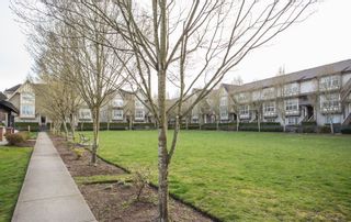 Photo 6: 71 8089 209 Street in Langley: Willoughby Heights Townhouse for sale in "Arborel Park" : MLS®# R2560778