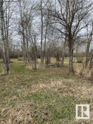 Photo 8: 57104 Hwy 38: Rural Sturgeon County Rural Land/Vacant Lot for sale : MLS®# E4281836