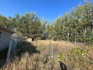 Photo 4: 65008 TWP 454 Road in Wainwright: Land Only for sale : MLS®# A2101719