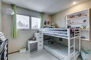 Photo 38: 239 Parkside Way SE in Calgary: Parkland Detached for sale : MLS®# A2013099
