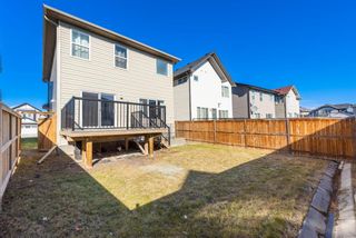 Photo 43: 20 Skyview Shores Link NE in Calgary: Skyview Ranch Detached for sale : MLS®# A1258924