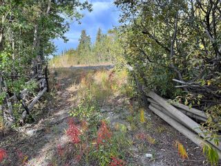 Photo 54: DL 1135 SPRUCE CREEK: Atlin House for sale (Iskut to Atlin)  : MLS®# R2813376