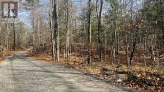 Photo 1: UMPHERSON MILLS ROAD in Lanark Highlands: Vacant Land for sale : MLS®# 1328417