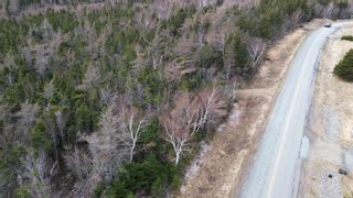 Photo 12: Plateau Road in Chéticamp: 306-Inverness County / Inverness Vacant Land for sale (Highland Region)  : MLS®# 202405435