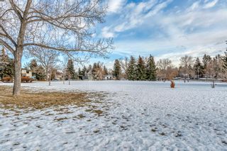 Photo 40: 289 Capri Avenue NW in Calgary: Brentwood Detached for sale : MLS®# A2021584