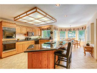 Photo 2: 2591 LUND Avenue in Coquitlam: Coquitlam East House for sale : MLS®# V1140496
