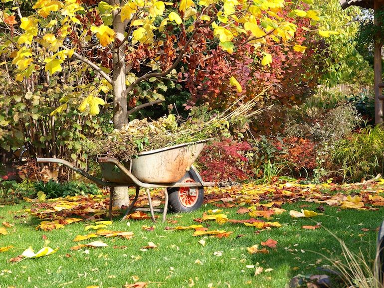 Autumn Landscaping Tips when Selling your Home