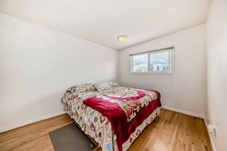 Photo 18: 2239 43 Street SE in Calgary: Forest Lawn Semi Detached (Half Duplex) for sale : MLS®# A2132707