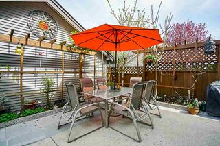 Photo 19: 21121 79A Avenue in Langley: Willoughby Heights House for sale : MLS®# R2259676