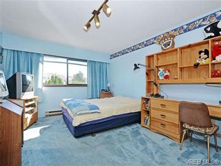 Photo 15: 4077 San Capri Terr in VICTORIA: SE Gordon Head House for sale (Saanich East)  : MLS®# 706725