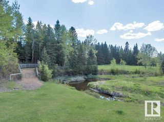 Photo 47: 233027 HWY 613: Rural Wetaskiwin County House for sale : MLS®# E4297080