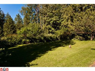 Photo 5: 2934 132nd St in South Surrey: Elgin Chantrell Home for sale () 