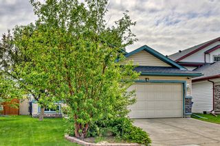 Photo 40: 6 Big Springs Rise SE: Airdrie Detached for sale : MLS®# A2055447