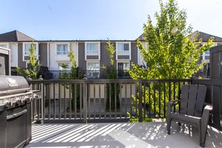 Photo 9: 53 8438 207A Street in Langley: Willoughby Heights Townhouse for sale in "YORK By Mosaic" : MLS®# R2634496
