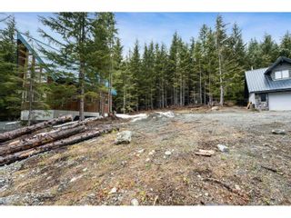 Photo 20: 46950 SNOWMIST DRIVE in Mission: Vacant Land for sale : MLS®# R2870704