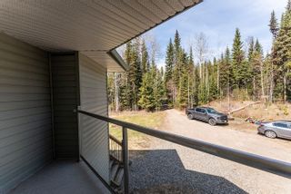 Photo 34: 11035 CHRISTOPHER Road in Prince George: Cranbrook Hill House for sale (PG City West)  : MLS®# R2881681