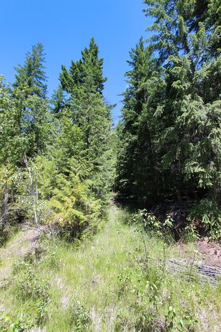 Photo 24: Lot 212 Estate Place in Anglemont: North Shuswap Land Only for sale : MLS®# 10233839