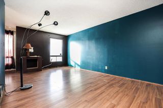 Photo 14: 231 Novavista Drive in Winnipeg: St Vital Residential for sale (2E)  : MLS®# 202304609