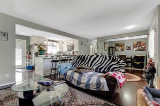 Photo 9: 739 64 Avenue NW in Calgary: Thorncliffe Detached for sale : MLS®# A1086538
