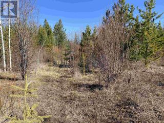 Photo 24: Lot B LONE BUTTE HORSE LAKE ROAD in 100 Mile House: Vacant Land for sale : MLS®# R2870362