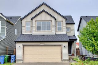 Main Photo: 22 Copperfield Common SE in Calgary: Copperfield Detached for sale : MLS®# A2120852