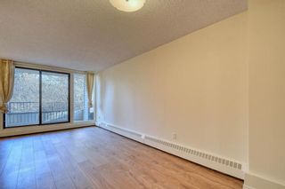Photo 17: 201 2425 90 Avenue SW in Calgary: Palliser Apartment for sale : MLS®# A1052664