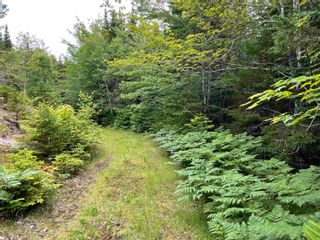 Photo 15: Gillis Point Road in Gillis Point: 209-Victoria County / Baddeck Vacant Land for sale (Cape Breton)  : MLS®# 202221313