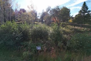 Photo 3: Lot 209 Hawthorn Road in Mahone Bay: 405-Lunenburg County Vacant Land for sale (South Shore)  : MLS®# 202306099