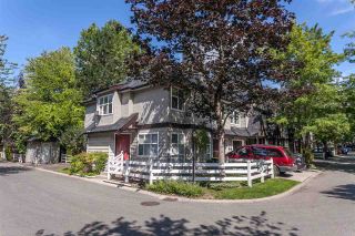 Photo 1: 17 11757 236 Street in Maple Ridge: Cottonwood MR Townhouse for sale in "GALIANO" : MLS®# R2324411
